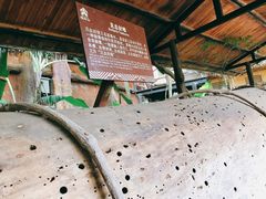 -海南槟榔谷黎苗文化旅游区