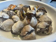 -开海·红岛海鲜虾水饺(石老人店)