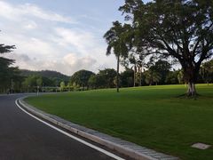 -东莞植物园