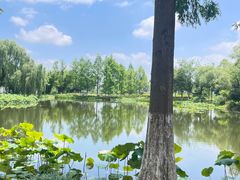 -金银湖国家城市湿地公园