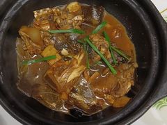 -德清诚信农产品莫干湖甲鱼直销店