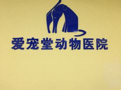-瑞鹏宠物医院·爱宠堂·骨外专科(西荷分院)