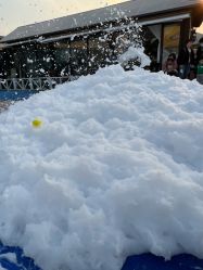 -小蜜蜂农场(凯德七宝购物广场店)