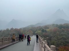 -云台山风景名胜区