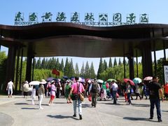 -黄海国家森林公园