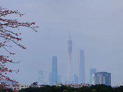 -海珠湖公园