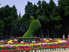 -富乐山