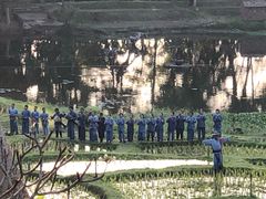 -四季酒店下午茶