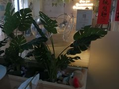 门面-Husky Go! 哈士奇体验馆·宠物咖啡厅狗咖