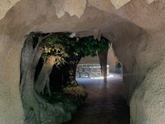 -南山植物园