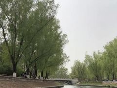 -皇家御河游(紫御湾码头)
