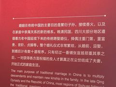 -四川大学博物馆