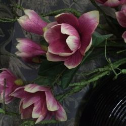 -Face Score美甲美睫皮肤管理