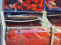 -登发花鸟鱼虫市场