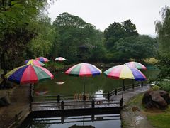 -白马涧龙池景区