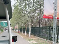 -永定河休闲森林公园