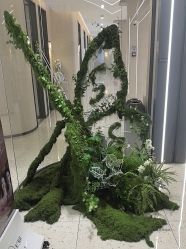 -杭州米兰柏羽医疗美容医院