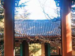 -龙口南山旅游景区