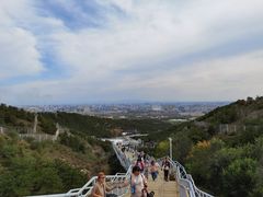 -大青山野生动物园
