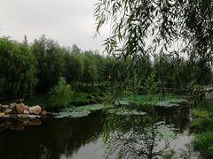 -莫子山公园