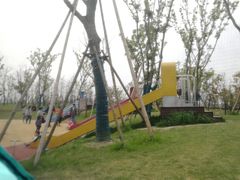 -春花秋色城市公园