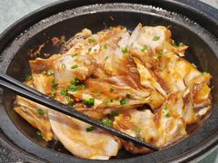啫啫鱼唇-德云居