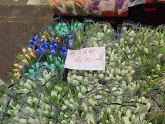 -循礼门鲜花花市(武汉循礼门店)