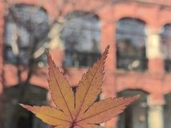 -上海瑞金洲际酒店
