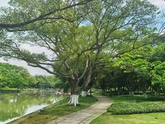 -江心屿景区