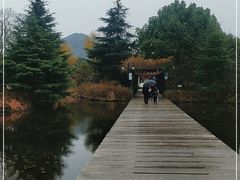 -白马涧龙池景区