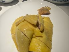 -侨美食家·41年地道粤菜(恒福路店)