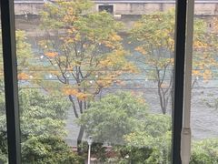 -四川大学博物馆