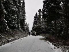 -武陵山森林公园