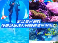 -海合安武汉极地海洋公园