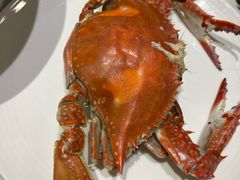 -北塘海鲜·天津菜(大光明桥旗舰店)