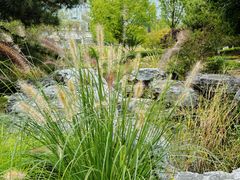 -中关村生命科学园