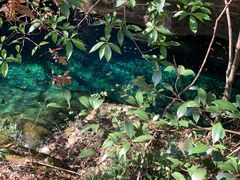 -石台牯牛降景区