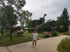 -西部长青自然儿童乐园