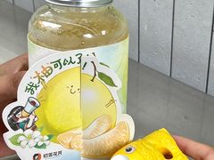 -初茶花月·重庆特产(大融城店)