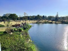 -上海植物园-4号门售票处