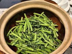 -熠盛粤味·顺德桑拿鸡(永康路店)