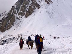 -祁连山·岗什卡雪峰景区