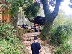 -杨家堂村