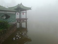 -大雁山风景区