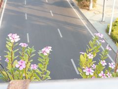 iphone_upload_pic-白城沙滩