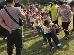 -武汉紫薇都市田园