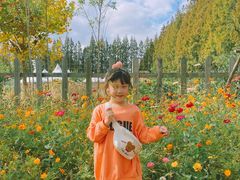 -前小桔亲子创意农场·草莓采摘·露营烧烤