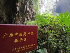 -百魔洞景区