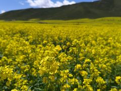 -扁都口生态休闲旅游区