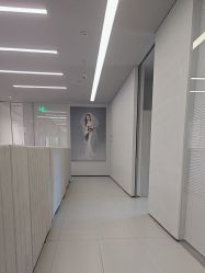 -桔子摄影